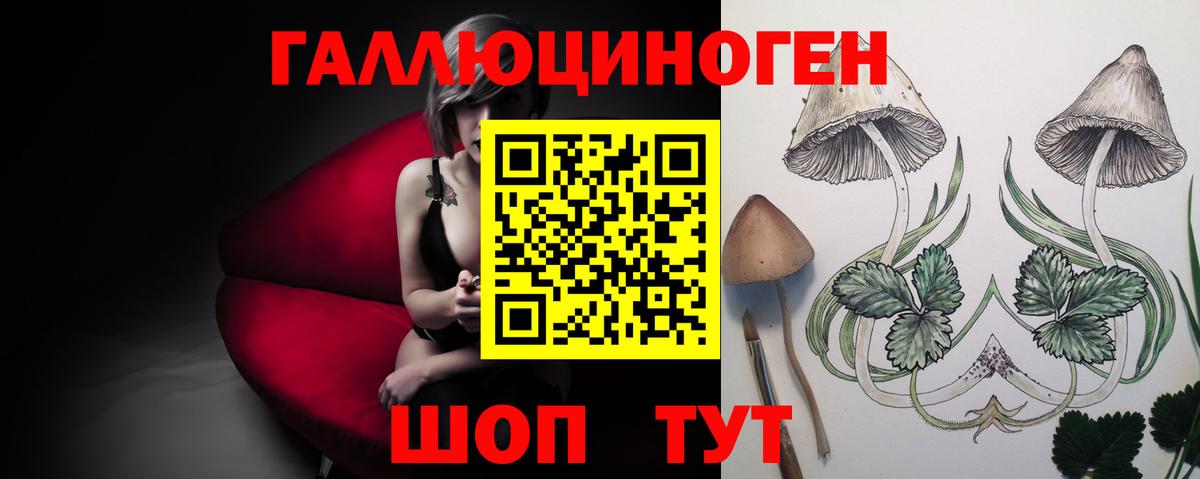 Галлюциногенные грибы GOLDEN TEACHER  Псилоцибиновые грибы MAGIC MUSHROOMS  магазин продажи наркотиков  Гусиноозёрск  Вход с VPN 
