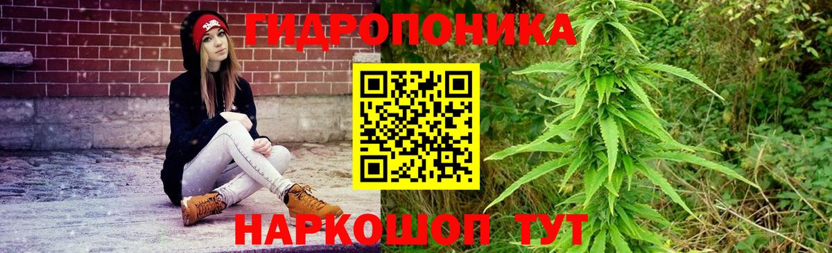 Конопля OG Kush Гусиноозёрск